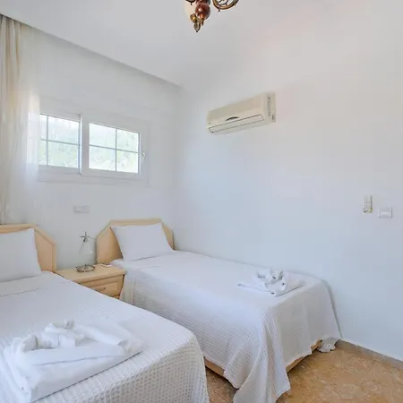 别墅 Elwyn 费特希耶