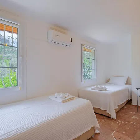 别墅 Elwyn 费特希耶