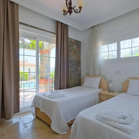 别墅 Elwyn 费特希耶