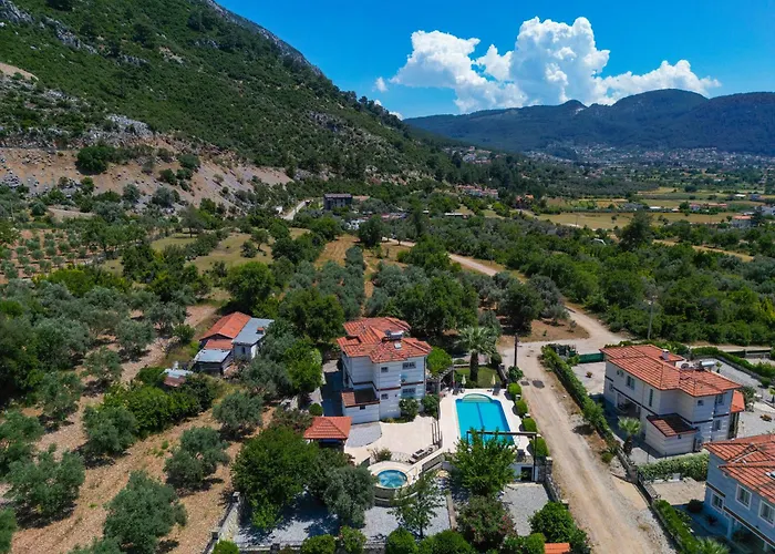 Elwyn * Fethiye