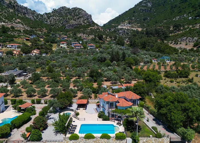 Villa Elwyn *